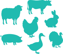 A Protein Lineup Pets Love